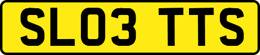 SL03TTS