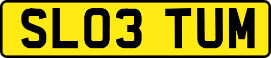 SL03TUM