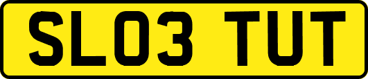 SL03TUT