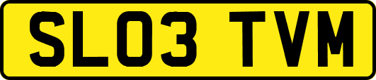 SL03TVM
