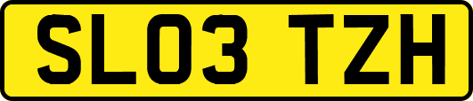SL03TZH