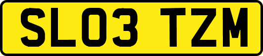SL03TZM
