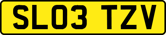 SL03TZV