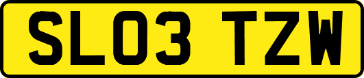 SL03TZW