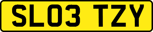 SL03TZY