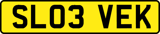 SL03VEK