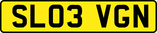 SL03VGN