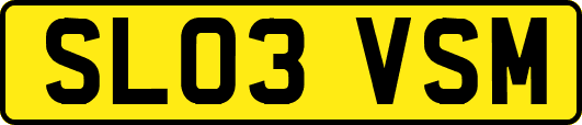 SL03VSM
