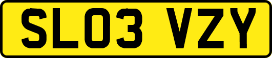 SL03VZY