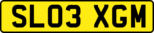 SL03XGM