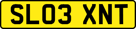 SL03XNT