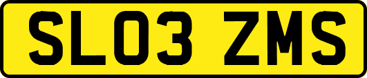 SL03ZMS