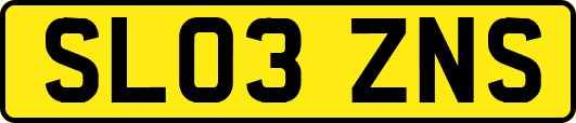 SL03ZNS