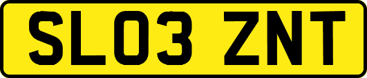 SL03ZNT