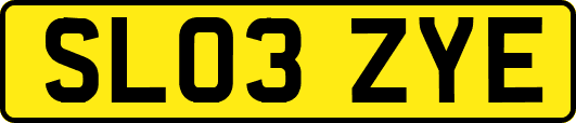 SL03ZYE