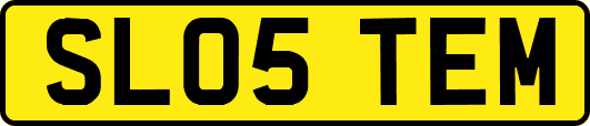 SL05TEM