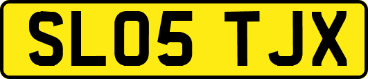 SL05TJX