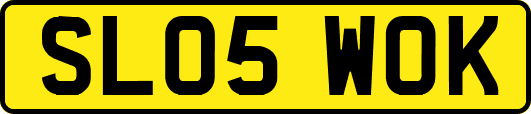 SL05WOK