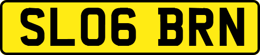 SL06BRN