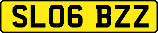 SL06BZZ