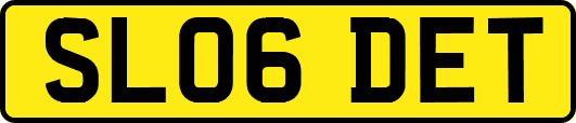 SL06DET