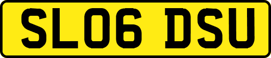 SL06DSU
