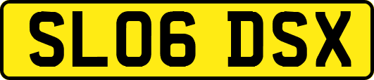SL06DSX