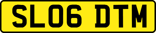SL06DTM