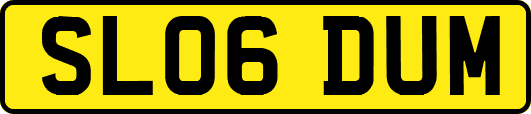SL06DUM