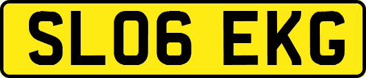 SL06EKG
