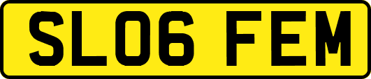 SL06FEM
