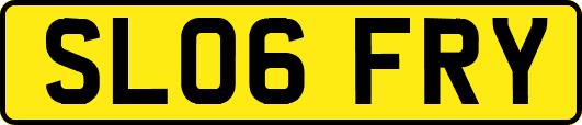 SL06FRY