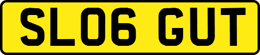 SL06GUT