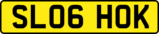 SL06HOK