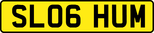 SL06HUM