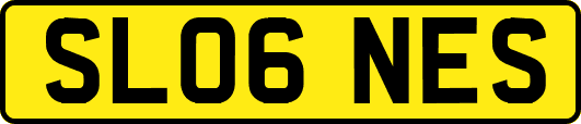 SL06NES