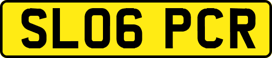 SL06PCR