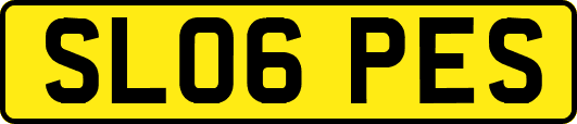SL06PES