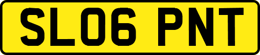 SL06PNT