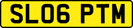 SL06PTM