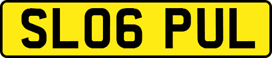SL06PUL