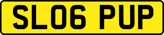 SL06PUP