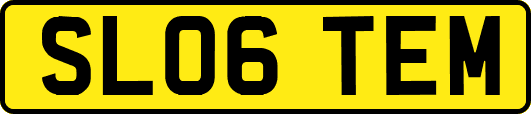 SL06TEM