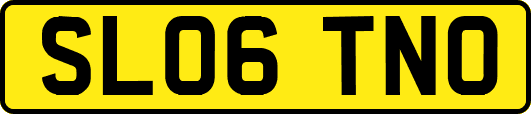 SL06TNO