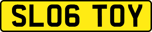SL06TOY