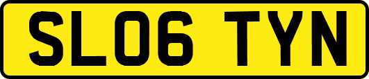 SL06TYN