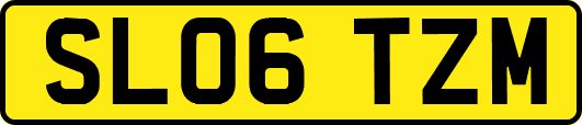 SL06TZM