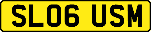 SL06USM