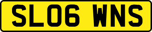 SL06WNS