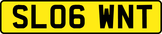 SL06WNT